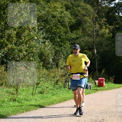27.09.2026 - 35. Volkslauf durch das schöne Alstertal Dr. Thomas Lammeyer http://msf.ph/oto/10582080 27.09.2026 12:31:44 Laufen 2959 meine-sportfotos.de