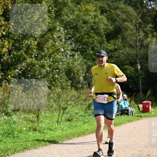 27.09.2026 - 35. Volkslauf durch das schöne Alstertal Dr. Thomas Lammeyer http://msf.ph/oto/10582085 27.09.2026 12:31:44 Laufen 2959 meine-sportfotos.de
