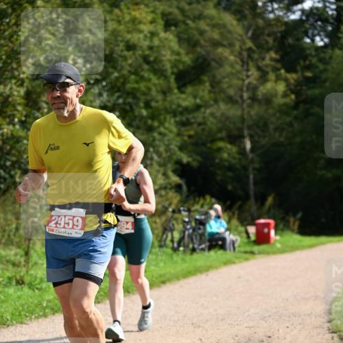 27.09.2026 - 35. Volkslauf durch das schöne Alstertal Dr. Thomas Lammeyer http://msf.ph/oto/10582095 27.09.2026 12:31:45 Laufen 2959 meine-sportfotos.de