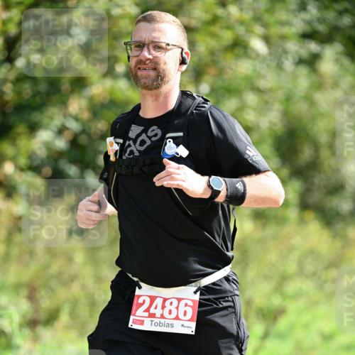 27.09.2026 - 35. Volkslauf durch das schöne Alstertal Dr. Thomas Lammeyer http://msf.ph/oto/10582233 27.09.2026 12:33:47 Laufen 2486 meine-sportfotos.de