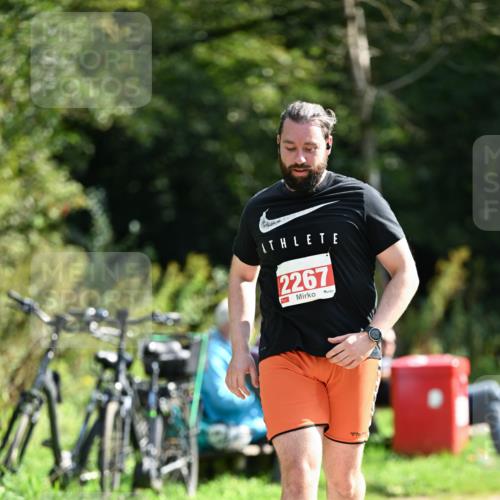 27.09.2026 - 35. Volkslauf durch das schöne Alstertal Dr. Thomas Lammeyer http://msf.ph/oto/10582309 27.09.2026 12:34:24 Laufen 2267 meine-sportfotos.de