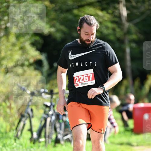 27.09.2026 - 35. Volkslauf durch das schöne Alstertal Dr. Thomas Lammeyer http://msf.ph/oto/10582315 27.09.2026 12:34:25 Laufen 2267 meine-sportfotos.de