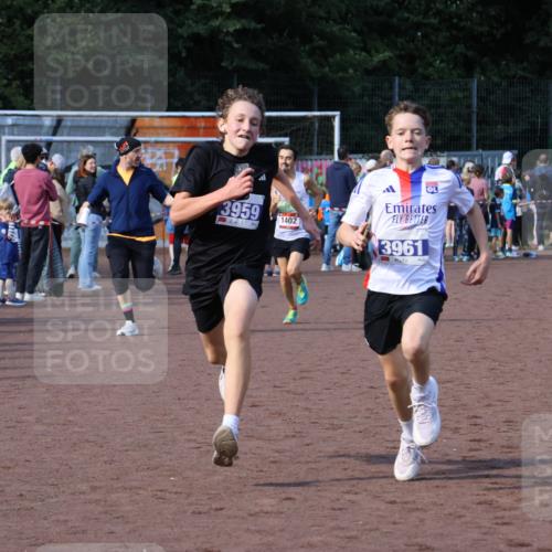 27.09.2026 - 35. Volkslauf durch das schöne Alstertal Strokosch-Dieckow http://msf.ph/oto/10582439 27.09.2026 11:19:10 Ziel 1402, 3959, 3961 meine-sportfotos.de