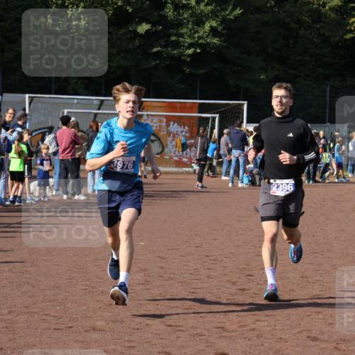 27.09.2026 - 35. Volkslauf durch das schöne Alstertal Strokosch-Dieckow http://msf.ph/oto/10582523 27.09.2026 11:17:34 Ziel 2396, 3976, 3997 meine-sportfotos.de