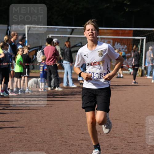 27.09.2026 - 35. Volkslauf durch das schöne Alstertal Strokosch-Dieckow http://msf.ph/oto/10582540 27.09.2026 11:17:26 Ziel 3144, 3968, 3997 meine-sportfotos.de