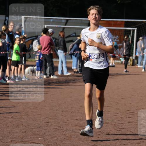 27.09.2026 - 35. Volkslauf durch das schöne Alstertal Strokosch-Dieckow http://msf.ph/oto/10582543 27.09.2026 11:17:26 Ziel 3144, 3968, 3997 meine-sportfotos.de