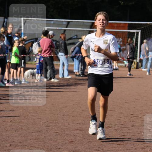 27.09.2026 - 35. Volkslauf durch das schöne Alstertal Strokosch-Dieckow http://msf.ph/oto/10582544 27.09.2026 11:17:26 Ziel 3144, 3968, 3997 meine-sportfotos.de