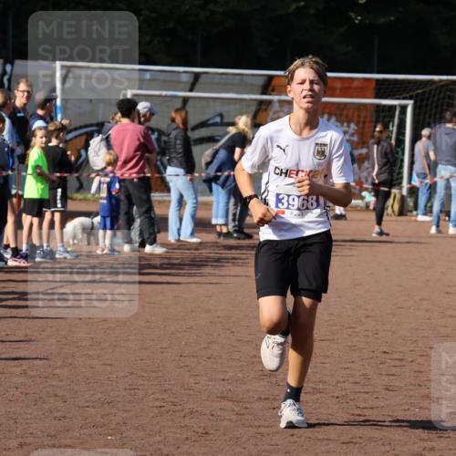 27.09.2026 - 35. Volkslauf durch das schöne Alstertal Strokosch-Dieckow http://msf.ph/oto/10582545 27.09.2026 11:17:26 Ziel 3144, 3968, 3997 meine-sportfotos.de
