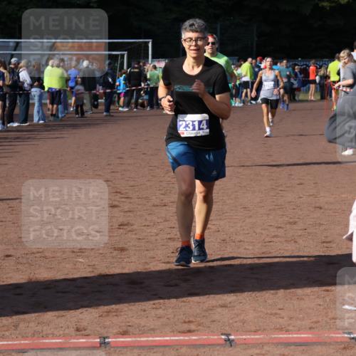 27.09.2026 - 35. Volkslauf durch das schöne Alstertal Strokosch-Dieckow http://msf.ph/oto/10582874 27.09.2026 11:32:14 Ziel 2314, 3256, 3369, 3415 meine-sportfotos.de