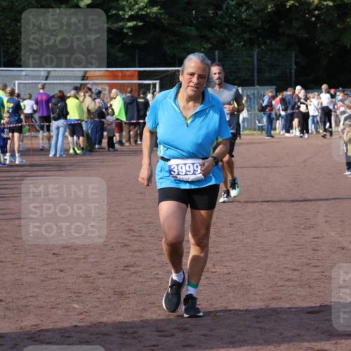 27.09.2026 - 35. Volkslauf durch das schöne Alstertal Strokosch-Dieckow http://msf.ph/oto/10584695 27.09.2026 11:35:00 Ziel 3132, 3244, 3999 meine-sportfotos.de