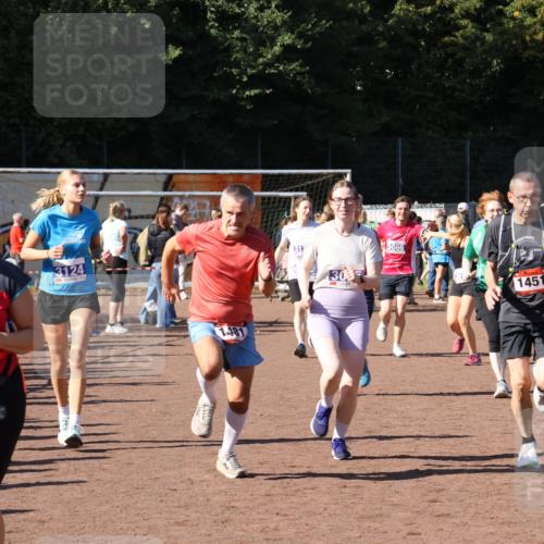 27.09.2026 - 35. Volkslauf durch das schöne Alstertal Strokosch-Dieckow http://msf.ph/oto/10585667 27.09.2026 11:45:07 Ziel 1442, 1451, 1481, 3045, 3066, 3076, 3124, 3137, 3283, 3284, 3357 meine-sportfotos.de