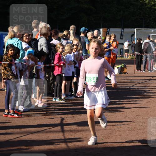 27.09.2026 - 35. Volkslauf durch das schöne Alstertal Strokosch-Dieckow http://msf.ph/oto/10586791 27.09.2026 10:59:56 Ziel 4117, 4130, 4134, 4159, 4160 meine-sportfotos.de