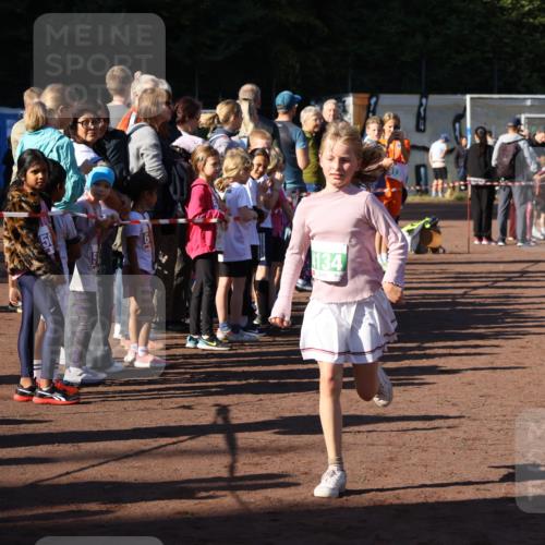 27.09.2026 - 35. Volkslauf durch das schöne Alstertal Strokosch-Dieckow http://msf.ph/oto/10586792 27.09.2026 10:59:56 Ziel 4117, 4130, 4134, 4159, 4160 meine-sportfotos.de