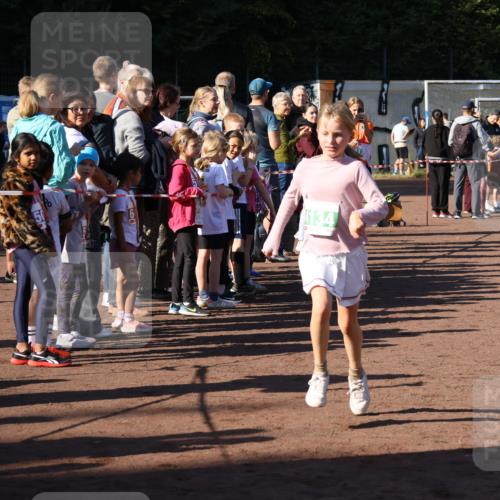 27.09.2026 - 35. Volkslauf durch das schöne Alstertal Strokosch-Dieckow http://msf.ph/oto/10586794 27.09.2026 10:59:56 Ziel 4117, 4130, 4134, 4159, 4160 meine-sportfotos.de