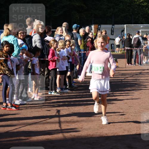 27.09.2026 - 35. Volkslauf durch das schöne Alstertal Strokosch-Dieckow http://msf.ph/oto/10586795 27.09.2026 10:59:56 Ziel 4117, 4130, 4134, 4159, 4160 meine-sportfotos.de