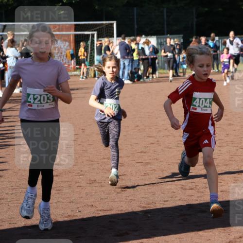 27.09.2026 - 35. Volkslauf durch das schöne Alstertal Strokosch-Dieckow http://msf.ph/oto/10586837 27.09.2026 10:59:30 Ziel 4043, 4047, 4049, 4111, 4202, 4203 meine-sportfotos.de