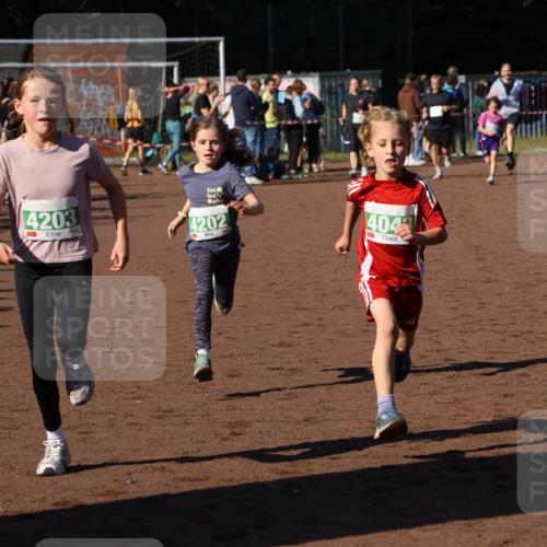 27.09.2026 - 35. Volkslauf durch das schöne Alstertal Strokosch-Dieckow http://msf.ph/oto/10586842 27.09.2026 10:59:30 Ziel 4043, 4047, 4049, 4111, 4202, 4203 meine-sportfotos.de