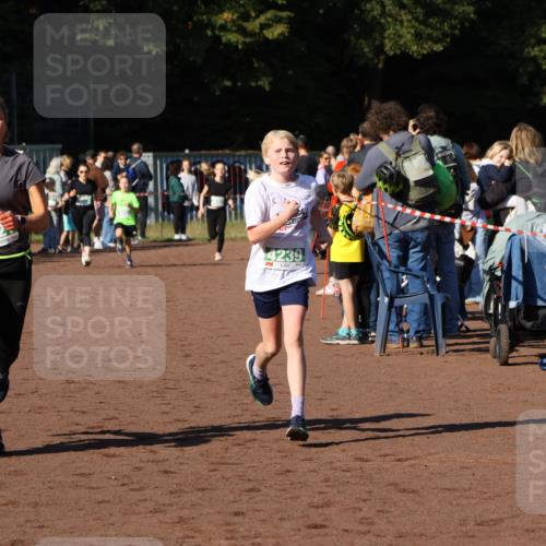 27.09.2026 - 35. Volkslauf durch das schöne Alstertal Strokosch-Dieckow http://msf.ph/oto/10586892 27.09.2026 10:58:13 Ziel 4031, 4067, 4087, 4121, 4239, 4242 meine-sportfotos.de
