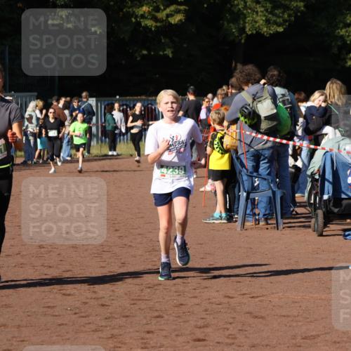 27.09.2026 - 35. Volkslauf durch das schöne Alstertal Strokosch-Dieckow http://msf.ph/oto/10586894 27.09.2026 10:58:13 Ziel 4031, 4067, 4087, 4121, 4239, 4242 meine-sportfotos.de