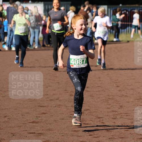 27.09.2026 - 35. Volkslauf durch das schöne Alstertal Strokosch-Dieckow http://msf.ph/oto/10586904 27.09.2026 10:58:08 Ziel 4087, 4121, 4239, 4242 meine-sportfotos.de