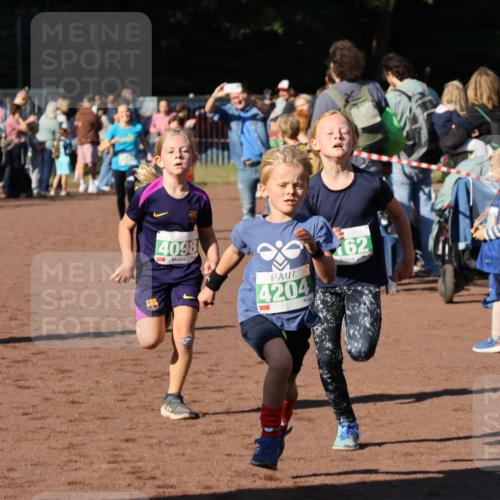 27.09.2026 - 35. Volkslauf durch das schöne Alstertal Strokosch-Dieckow http://msf.ph/oto/10586930 27.09.2026 10:57:50 Ziel 4098, 4140, 4141, 4162, 4169, 4204, 4221 meine-sportfotos.de