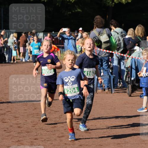 27.09.2026 - 35. Volkslauf durch das schöne Alstertal Strokosch-Dieckow http://msf.ph/oto/10586936 27.09.2026 10:57:50 Ziel 4098, 4140, 4141, 4162, 4169, 4204, 4221 meine-sportfotos.de