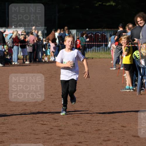 27.09.2026 - 35. Volkslauf durch das schöne Alstertal Strokosch-Dieckow http://msf.ph/oto/10586970 27.09.2026 10:57:11 Ziel 4059, 4094, 4177 meine-sportfotos.de