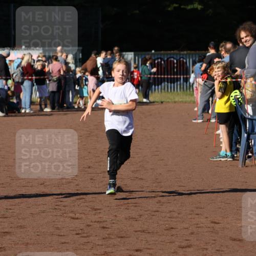 27.09.2026 - 35. Volkslauf durch das schöne Alstertal Strokosch-Dieckow http://msf.ph/oto/10586972 27.09.2026 10:57:11 Ziel 4059, 4094, 4177 meine-sportfotos.de