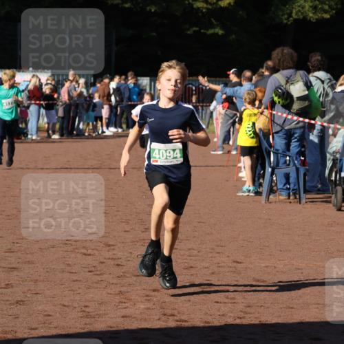 27.09.2026 - 35. Volkslauf durch das schöne Alstertal Strokosch-Dieckow http://msf.ph/oto/10586974 27.09.2026 10:57:07 Ziel 4059, 4065, 4094, 4177 meine-sportfotos.de