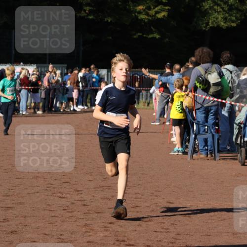 27.09.2026 - 35. Volkslauf durch das schöne Alstertal Strokosch-Dieckow http://msf.ph/oto/10586977 27.09.2026 10:57:07 Ziel 4059, 4065, 4094, 4177 meine-sportfotos.de