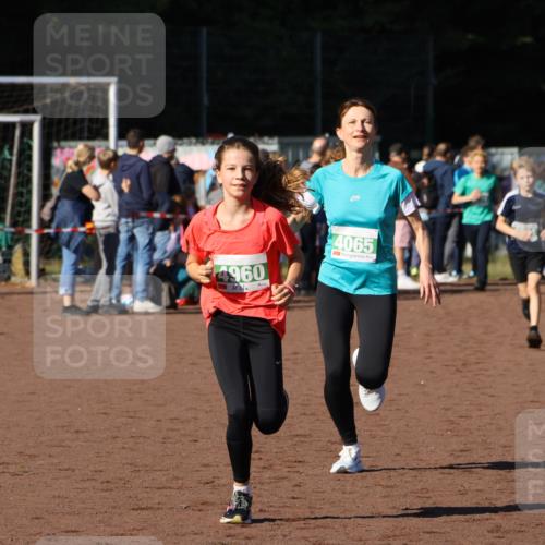 27.09.2026 - 35. Volkslauf durch das schöne Alstertal Strokosch-Dieckow http://msf.ph/oto/10586982 27.09.2026 10:57:00 Ziel 4065, 4094, 4960 meine-sportfotos.de