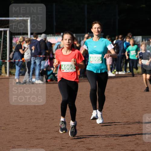 27.09.2026 - 35. Volkslauf durch das schöne Alstertal Strokosch-Dieckow http://msf.ph/oto/10586985 27.09.2026 10:57:00 Ziel 4065, 4094, 4960 meine-sportfotos.de