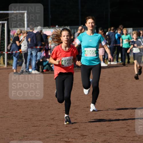 27.09.2026 - 35. Volkslauf durch das schöne Alstertal Strokosch-Dieckow http://msf.ph/oto/10586987 27.09.2026 10:57:00 Ziel 4065, 4094, 4960 meine-sportfotos.de