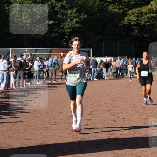 27.09.2026 - 35. Volkslauf durch das schöne Alstertal Strokosch-Dieckow http://msf.ph/oto/10587012 27.09.2026 10:56:14 Ziel 4142, 4148 meine-sportfotos.de