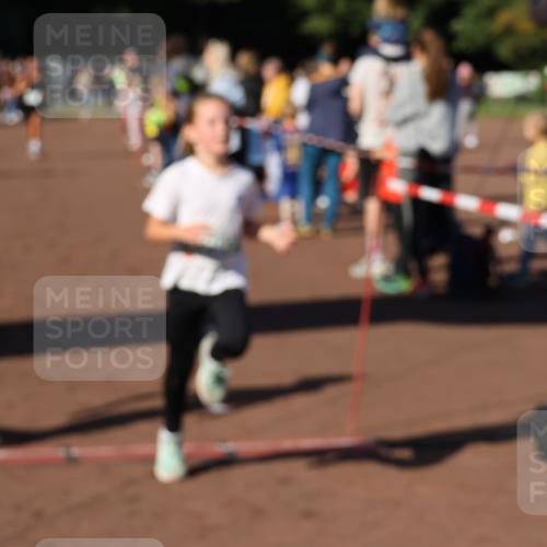 27.09.2026 - 35. Volkslauf durch das schöne Alstertal Strokosch-Dieckow http://msf.ph/oto/10587015 27.09.2026 10:56:10 Ziel 4142, 4144, 4148, 4207 meine-sportfotos.de