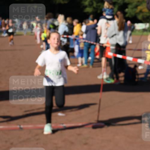 27.09.2026 - 35. Volkslauf durch das schöne Alstertal Strokosch-Dieckow http://msf.ph/oto/10587016 27.09.2026 10:56:09 Ziel 4142, 4144, 4148, 4207 meine-sportfotos.de