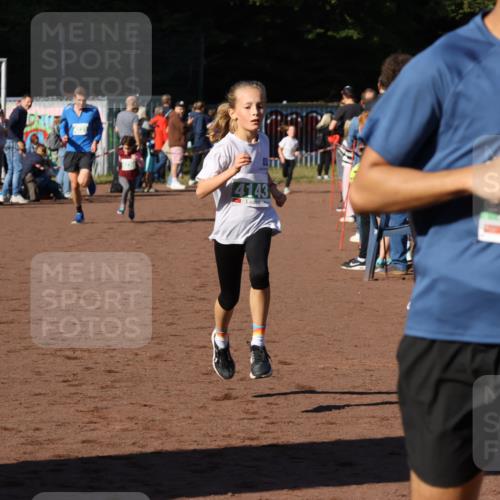 27.09.2026 - 35. Volkslauf durch das schöne Alstertal Strokosch-Dieckow http://msf.ph/oto/10587037 27.09.2026 10:55:57 Ziel 4143, 4223, 4227, 4230, 4231 meine-sportfotos.de