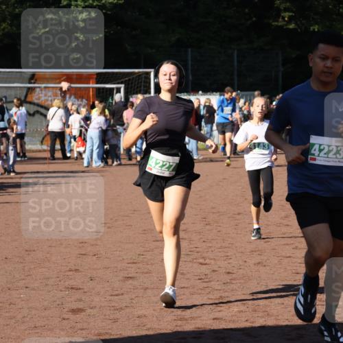 27.09.2026 - 35. Volkslauf durch das schöne Alstertal Strokosch-Dieckow http://msf.ph/oto/10587039 27.09.2026 10:55:56 Ziel 4143, 4223, 4227, 4230, 4231 meine-sportfotos.de