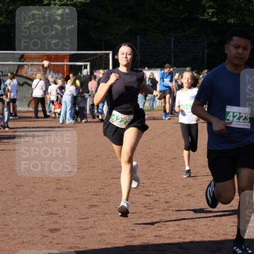 27.09.2026 - 35. Volkslauf durch das schöne Alstertal Strokosch-Dieckow http://msf.ph/oto/10587040 27.09.2026 10:55:56 Ziel 4143, 4223, 4227, 4230, 4231 meine-sportfotos.de