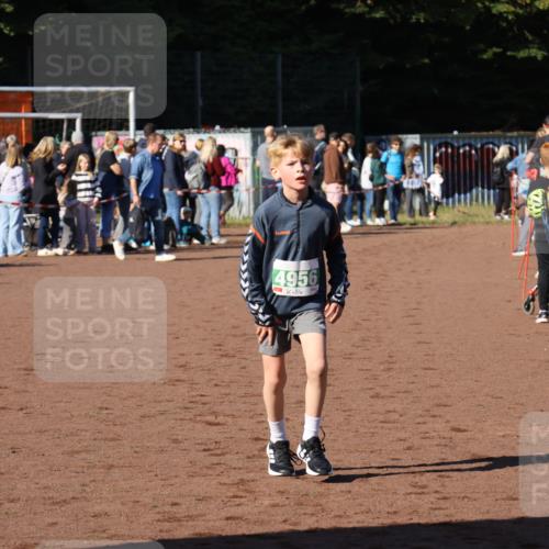 27.09.2026 - 35. Volkslauf durch das schöne Alstertal Strokosch-Dieckow http://msf.ph/oto/10587060 27.09.2026 10:55:19 Ziel 4956 meine-sportfotos.de