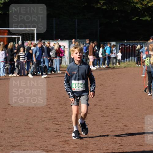 27.09.2026 - 35. Volkslauf durch das schöne Alstertal Strokosch-Dieckow http://msf.ph/oto/10587061 27.09.2026 10:55:19 Ziel 4956 meine-sportfotos.de