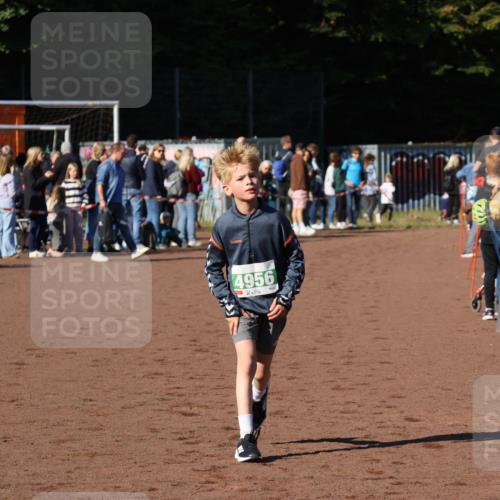 27.09.2026 - 35. Volkslauf durch das schöne Alstertal Strokosch-Dieckow http://msf.ph/oto/10587063 27.09.2026 10:55:19 Ziel 4956 meine-sportfotos.de