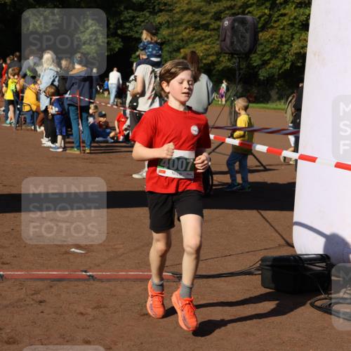 27.09.2026 - 35. Volkslauf durch das schöne Alstertal Strokosch-Dieckow http://msf.ph/oto/10587127 27.09.2026 10:54:19 Ziel 4000, 4007, 4139, 4174 meine-sportfotos.de