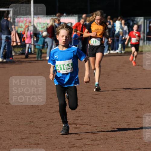 27.09.2026 - 35. Volkslauf durch das schöne Alstertal Strokosch-Dieckow http://msf.ph/oto/10587139 27.09.2026 10:54:11 Ziel 4007, 4139, 4164, 4243 meine-sportfotos.de