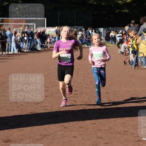27.09.2026 - 35. Volkslauf durch das schöne Alstertal Strokosch-Dieckow http://msf.ph/oto/10587150 27.09.2026 10:53:48 Ziel 4006, 4025 meine-sportfotos.de