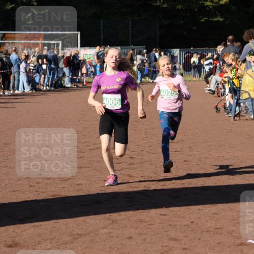 27.09.2026 - 35. Volkslauf durch das schöne Alstertal Strokosch-Dieckow http://msf.ph/oto/10587151 27.09.2026 10:53:48 Ziel 4006, 4025 meine-sportfotos.de