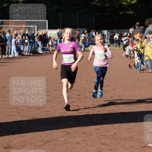 27.09.2026 - 35. Volkslauf durch das schöne Alstertal Strokosch-Dieckow http://msf.ph/oto/10587152 27.09.2026 10:53:48 Ziel 4006, 4025 meine-sportfotos.de