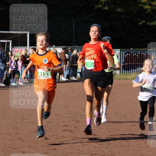 27.09.2026 - 35. Volkslauf durch das schöne Alstertal Strokosch-Dieckow http://msf.ph/oto/10587210 27.09.2026 10:52:45 Ziel 3368, 4133, 4208, 4229 meine-sportfotos.de
