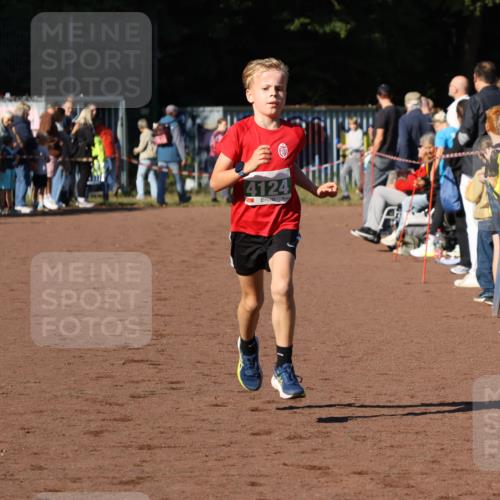 27.09.2026 - 35. Volkslauf durch das schöne Alstertal Strokosch-Dieckow http://msf.ph/oto/10587212 27.09.2026 10:52:10 Ziel 4082, 4124 meine-sportfotos.de