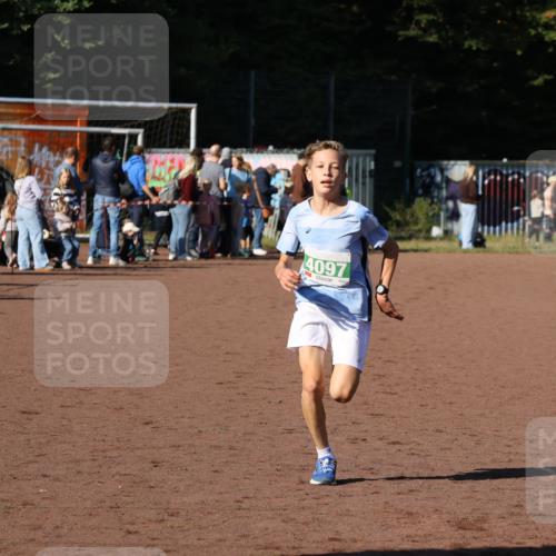 27.09.2026 - 35. Volkslauf durch das schöne Alstertal Strokosch-Dieckow http://msf.ph/oto/10587293 27.09.2026 10:49:44 Ziel 4097 meine-sportfotos.de
